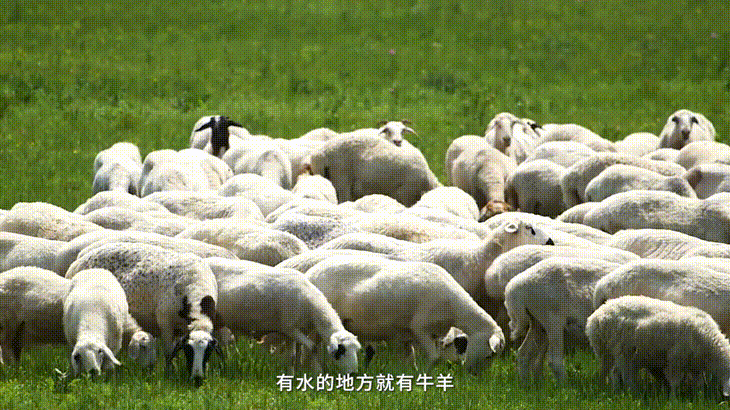 1746517187457427.gif