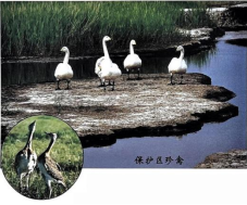 圖片2.png