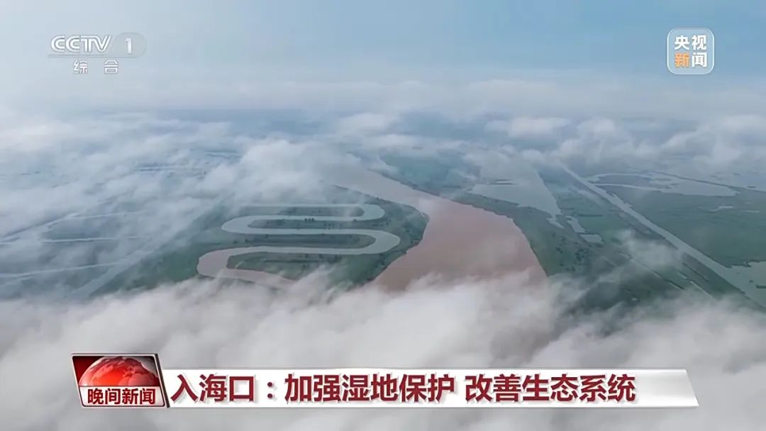 圖片17.png